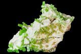 Vibrant Green Pyromorphite Crystal Cluster - China #112207-1